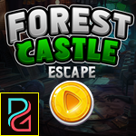 Pg Forest Castle Escape