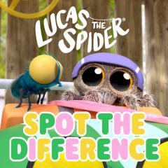 play Lucas The Spider Spot The Difference
