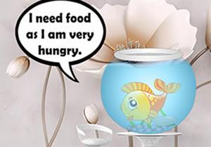 play Help The Hungry Fish