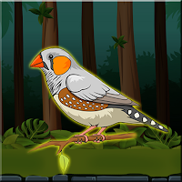 play G2J Cute Zebra Finch Rescue