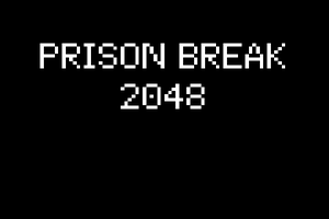 play Prison Break 2048