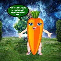 Carrot Meet Her Friend game