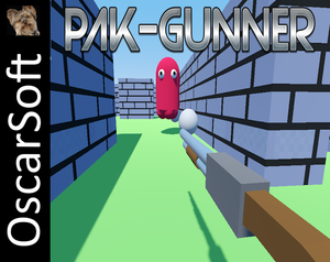 play Pak-Gunner