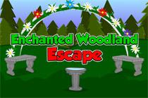 play Enchanted Woodland Escape