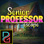 play Pg Senior Professor Escape