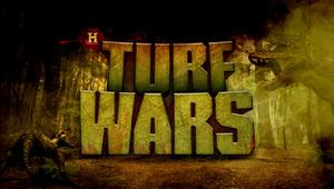 play Turf Wars