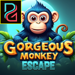 play Gorgeous Monkey Escape