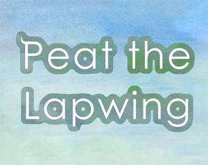play Peat The Lapwing