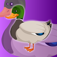 play G2J Help The Baby Mallard Duck
