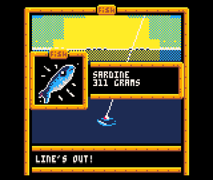 Sardine Catcher