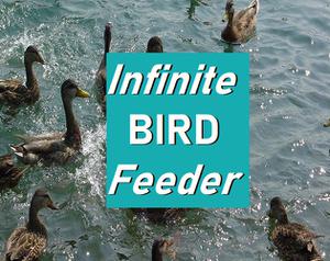 play Infinite Bird Feeder