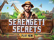 Serengeti Secrets game