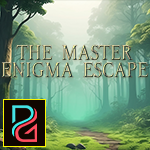 The Master Enigma Escape game