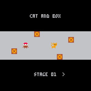Cat And Box