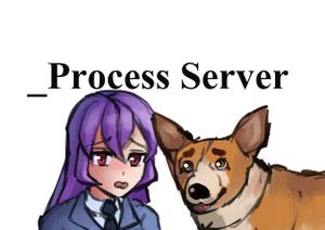 Process Server game
