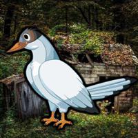 G2R-Trapped White Crow Escape game