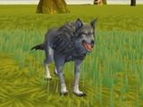 play Wolf Life Simulator