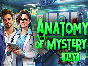 Anatomy Of Mystery game
