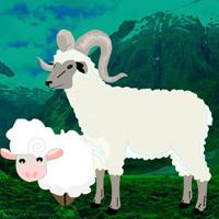 Hog-Help The Baby Sheep game