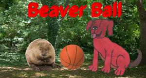 Beaver Ball game