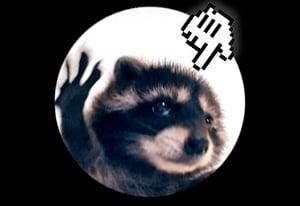 Pedro Clicker Evolution Of The Raccoon game