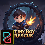 play Tiny Boy Rescue