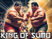 King Of Sumo game