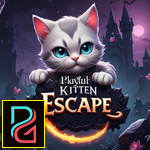 Playful Kitten Escape game
