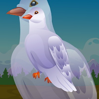 G2J Wild Pigeon Escape game