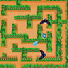 Chick In A Maze