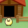 Catch The Chicks