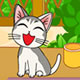 Cute Hungry Cat
