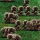 Imperium War