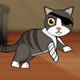 Pirate Cat With Broken Leg