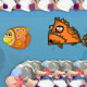 Fish Feed Maze