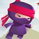 Ninja Land