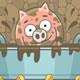 Piggy In The Puddle