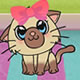 Kitty Championship