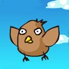 play Tiny Sparrow