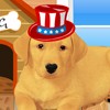 play Cute Labrador Puppy