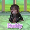 play Funky Monkey 2