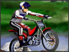 play Bike Mania