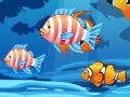 play My Sweet Fish
