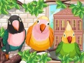 play My Sweet Bird