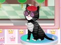 play Cat Salon
