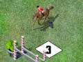 play Horse Jumping