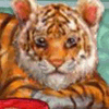 play My Baby Tiger