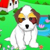 play Baby Shih Tzu