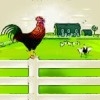 play Rescue Your Chickens