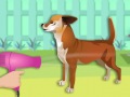 play Make-Up Pets